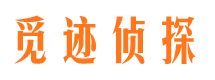 茶陵外遇出轨调查取证